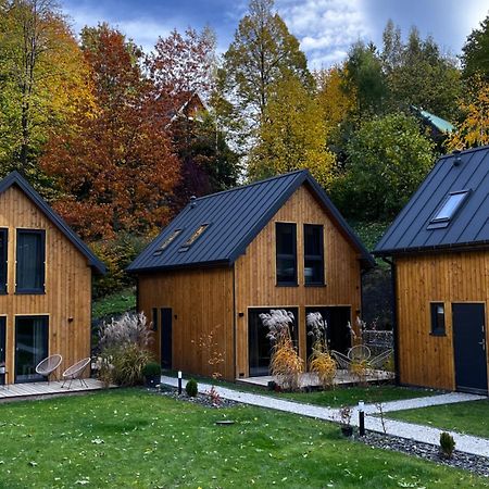 Chatki Miedzy Gorami Sosnówka Exteriör bild