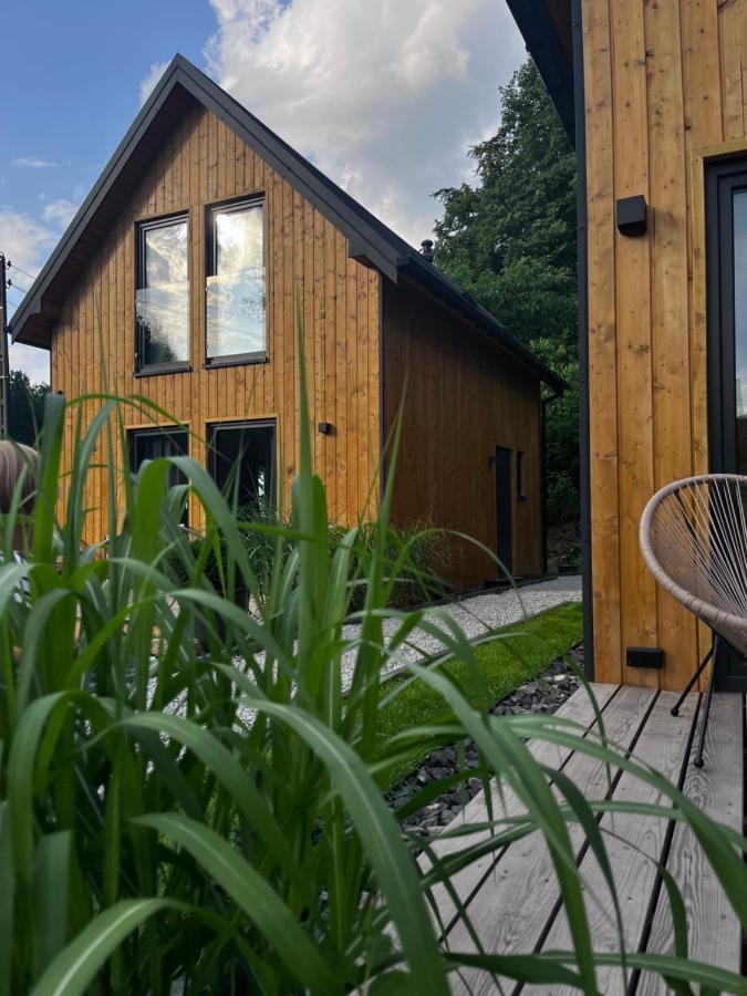 Chatki Miedzy Gorami Sosnówka Exteriör bild