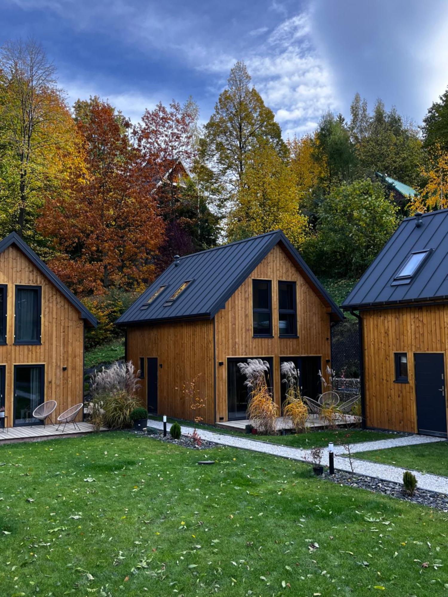 Chatki Miedzy Gorami Sosnówka Exteriör bild